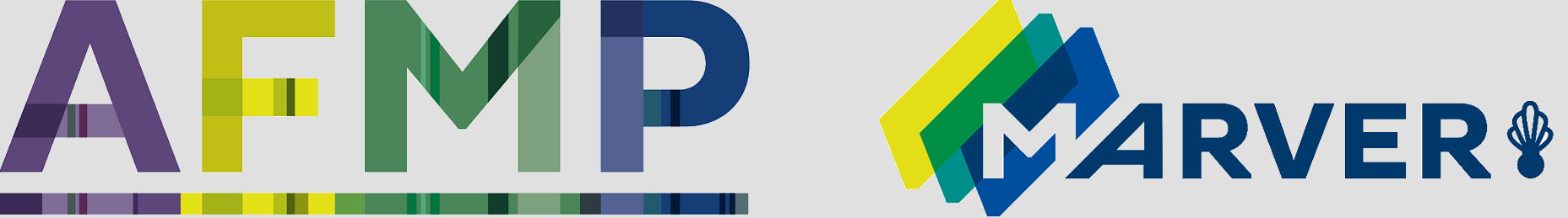 logo1